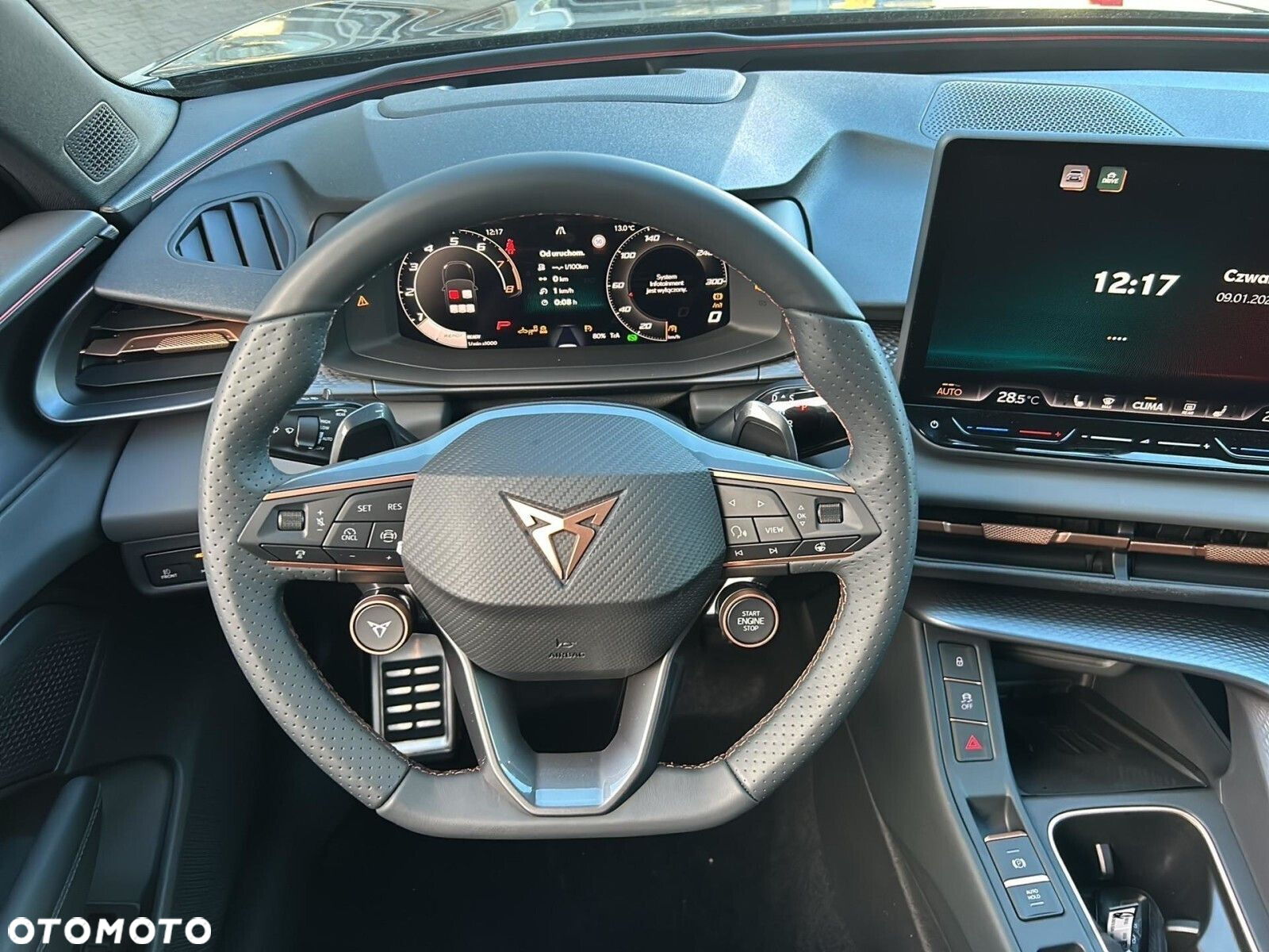 Cupra Terramar - 13