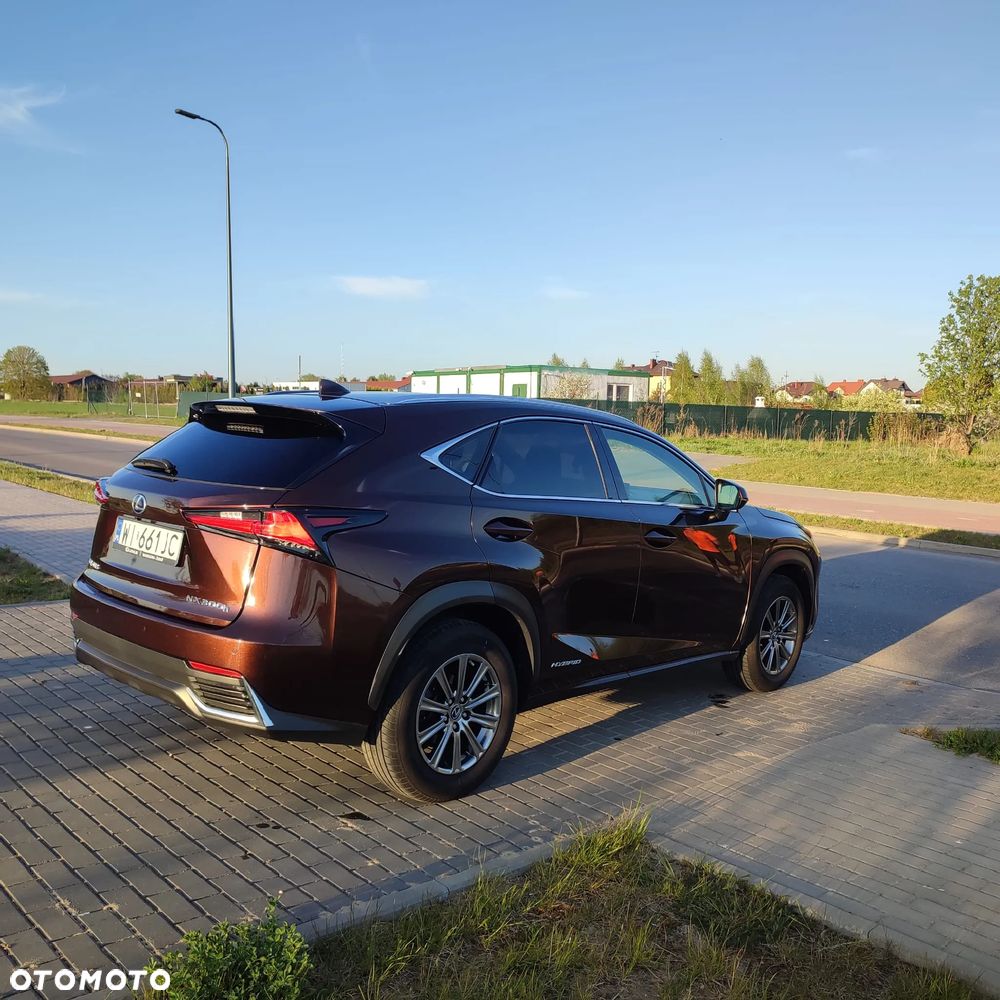 Lexus NX 300h Elegance Optimum AWD - 7