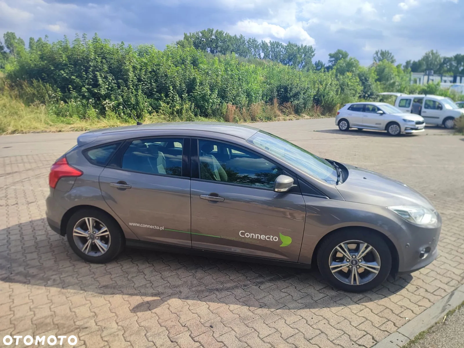 Ford Focus - 15