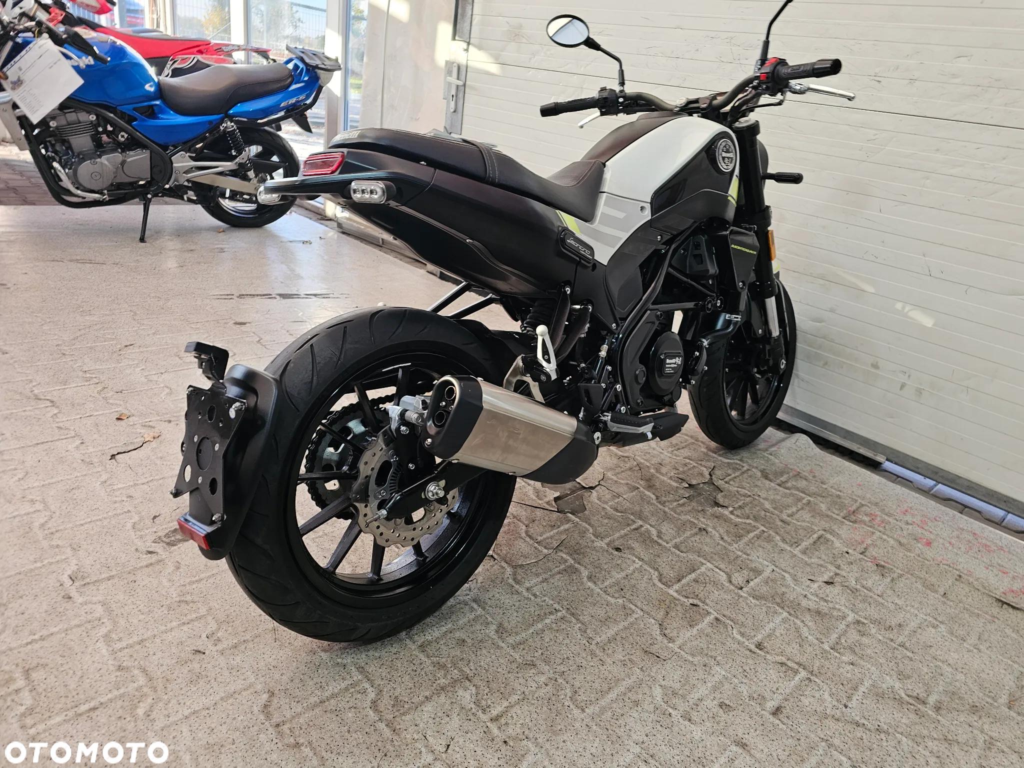 Benelli Leoncino - 25