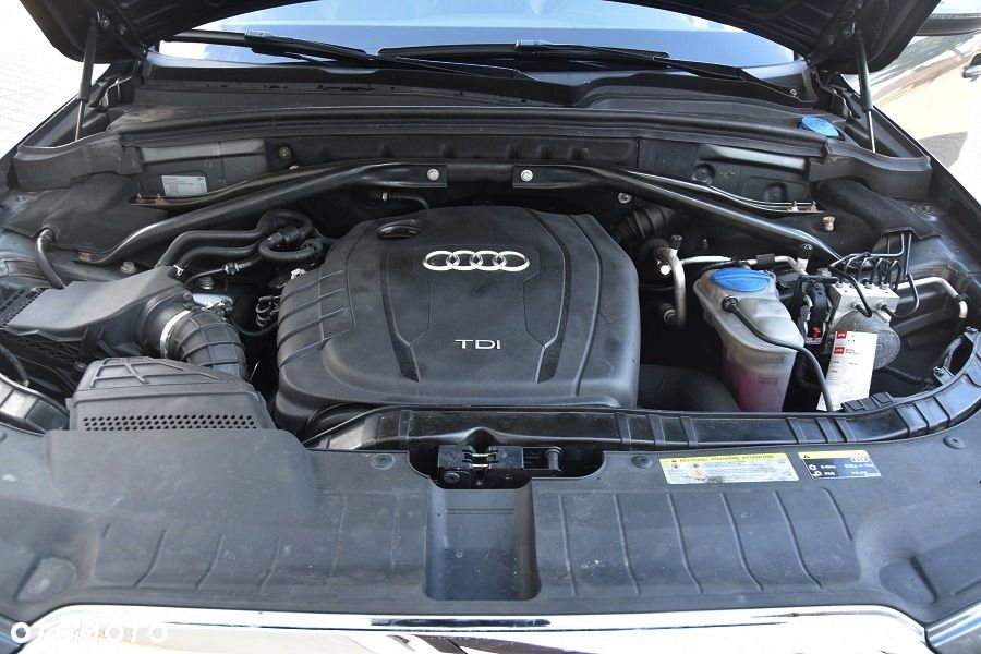 Audi Q5 - 27