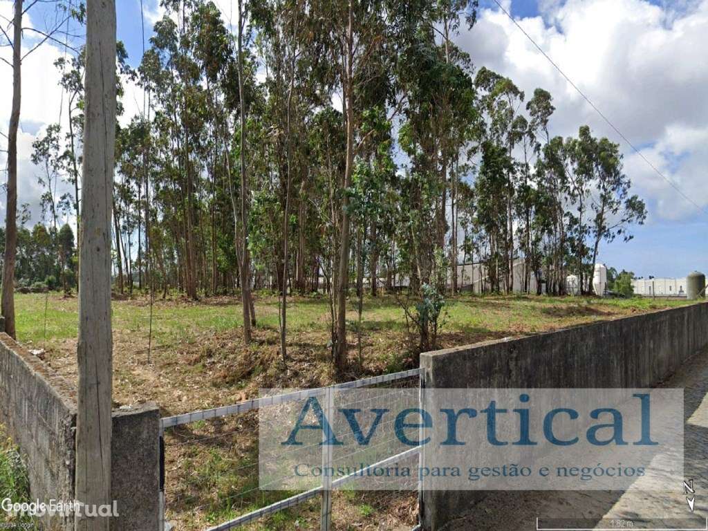 Terreno com 8.500m2 - Grande imagem: 4/12