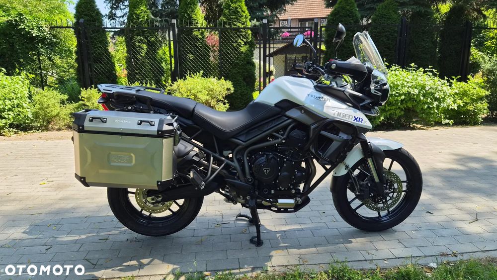 Triumph Tiger - 5