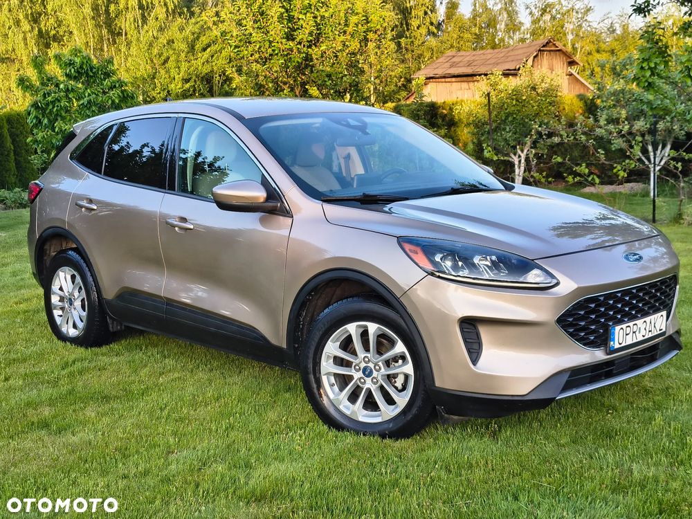 Ford Escape - 1