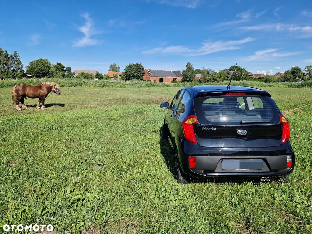 Kia Picanto 1.0 Dream-Team Edition - 11