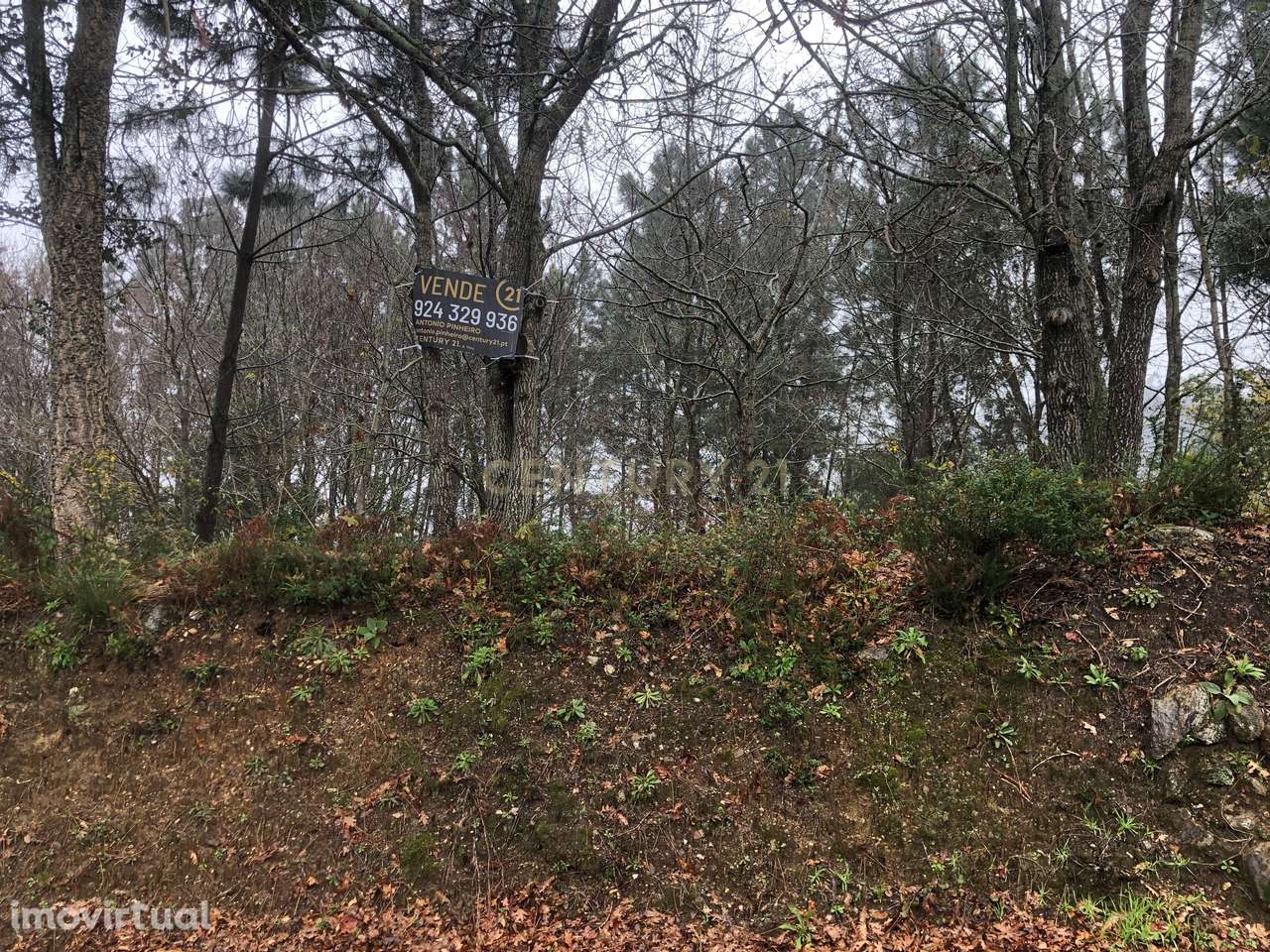 Terreno em Cornes, Vila nova de Cerveira - Grande imagem: 4/10