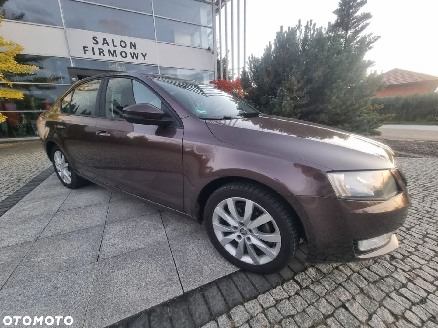 Skoda Octavia 1.6 TDI Elegance - 38