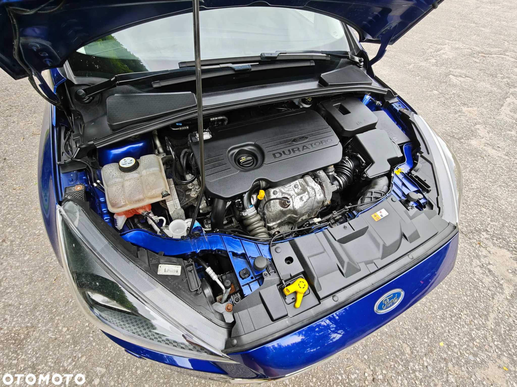 Ford Focus 1.5 TDCi ECOnetic 88g Start-Stopp-System Titanium - 37