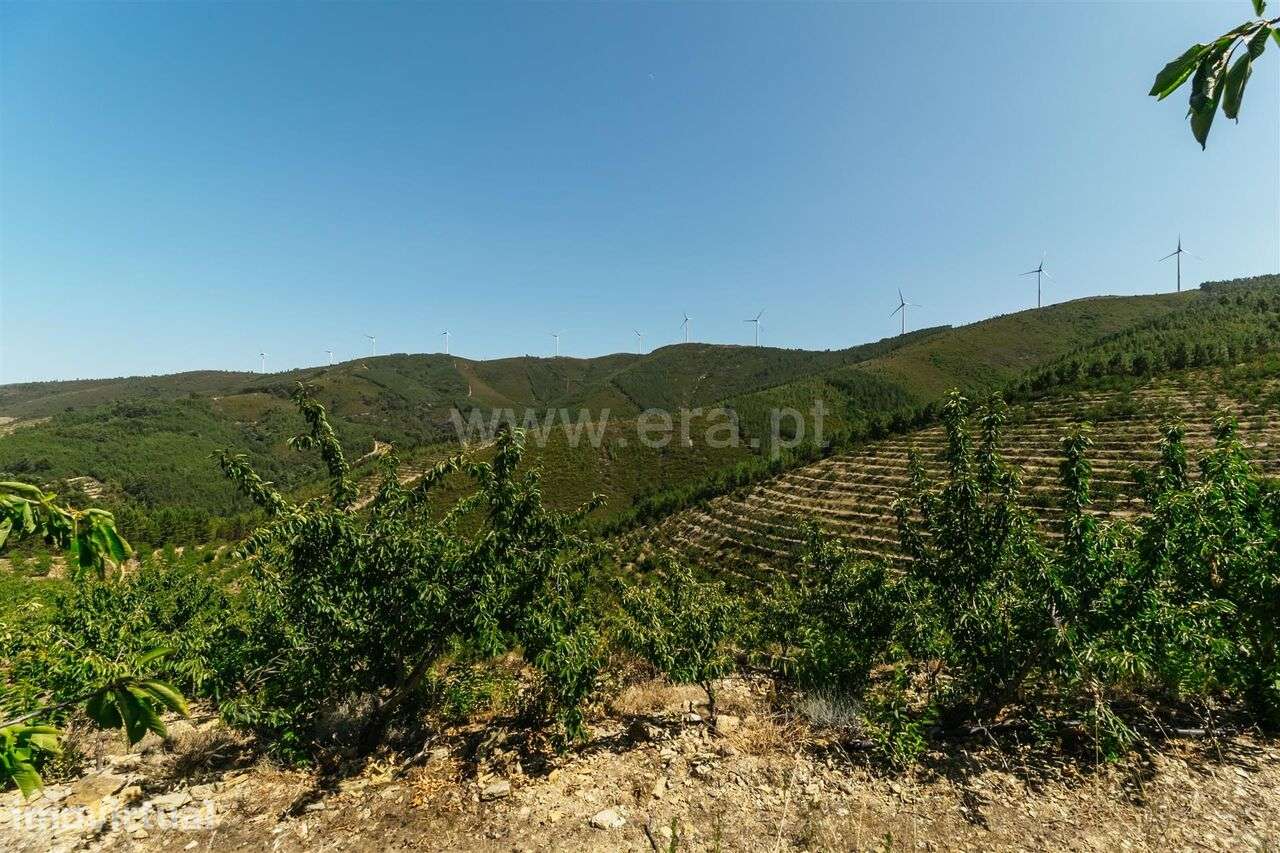 Terreno / Fundão, Castelejo - Grande imagem: 2/11