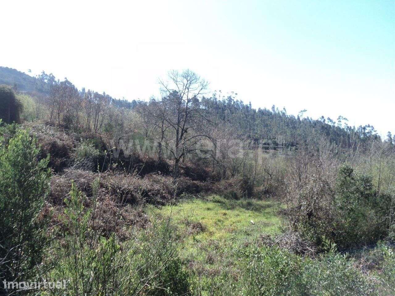 Terreno / Marco de Canaveses, Sande e São Lourenço - Grande imagem: 4/6