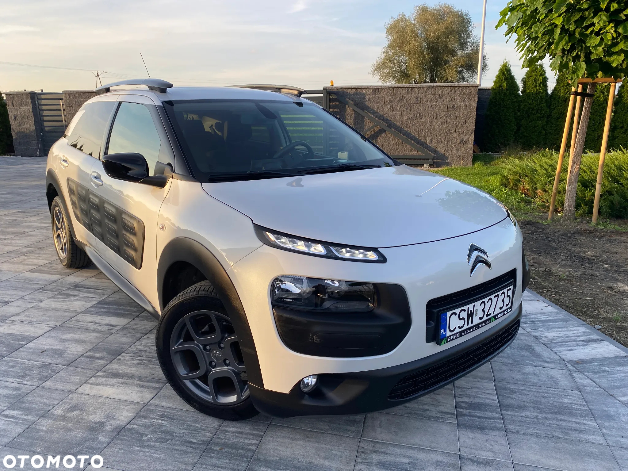 Citroën C4 Cactus 1.2 PureTech Shine Edition S&S - 2