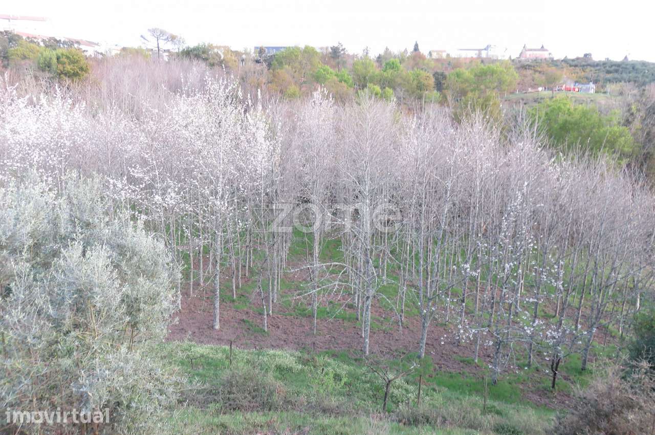 Moradia, 580 m², Nogueira do Cravo - Grande imagem: 5/29