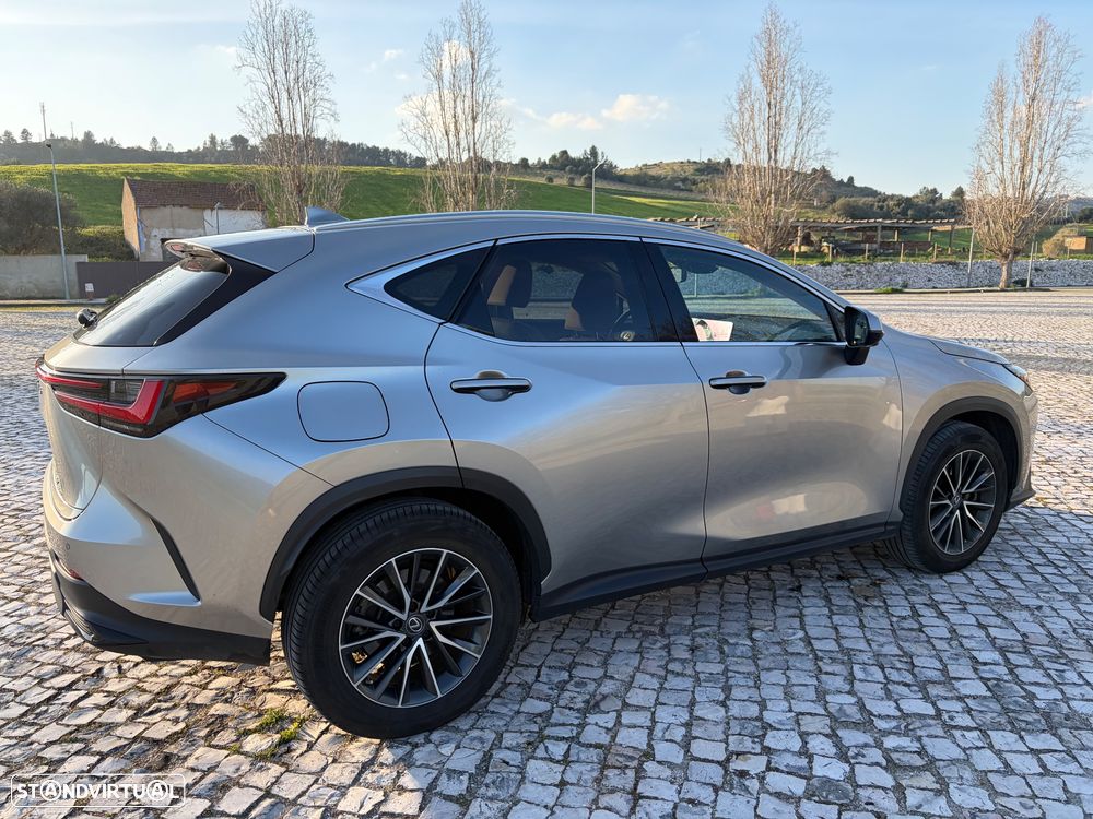 Lexus NX 450h+ Executive+ - 10
