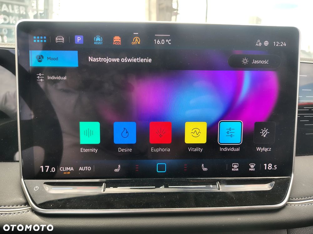 Volkswagen Tiguan - 19