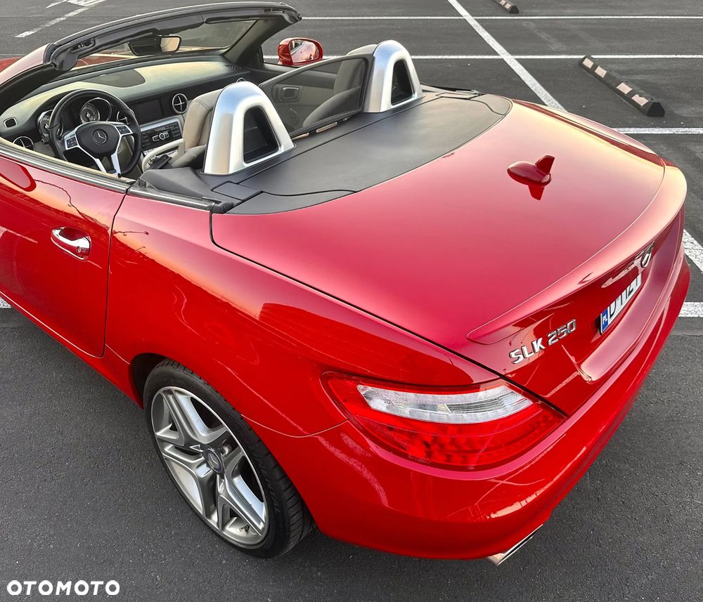 Mercedes-Benz SLK 250 (BlueEFFICIENCY) 7G-TRONIC - 13