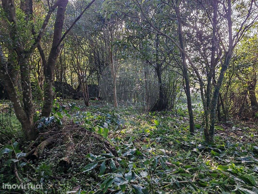 Terreno  para venda - Grande imagem: 4/10