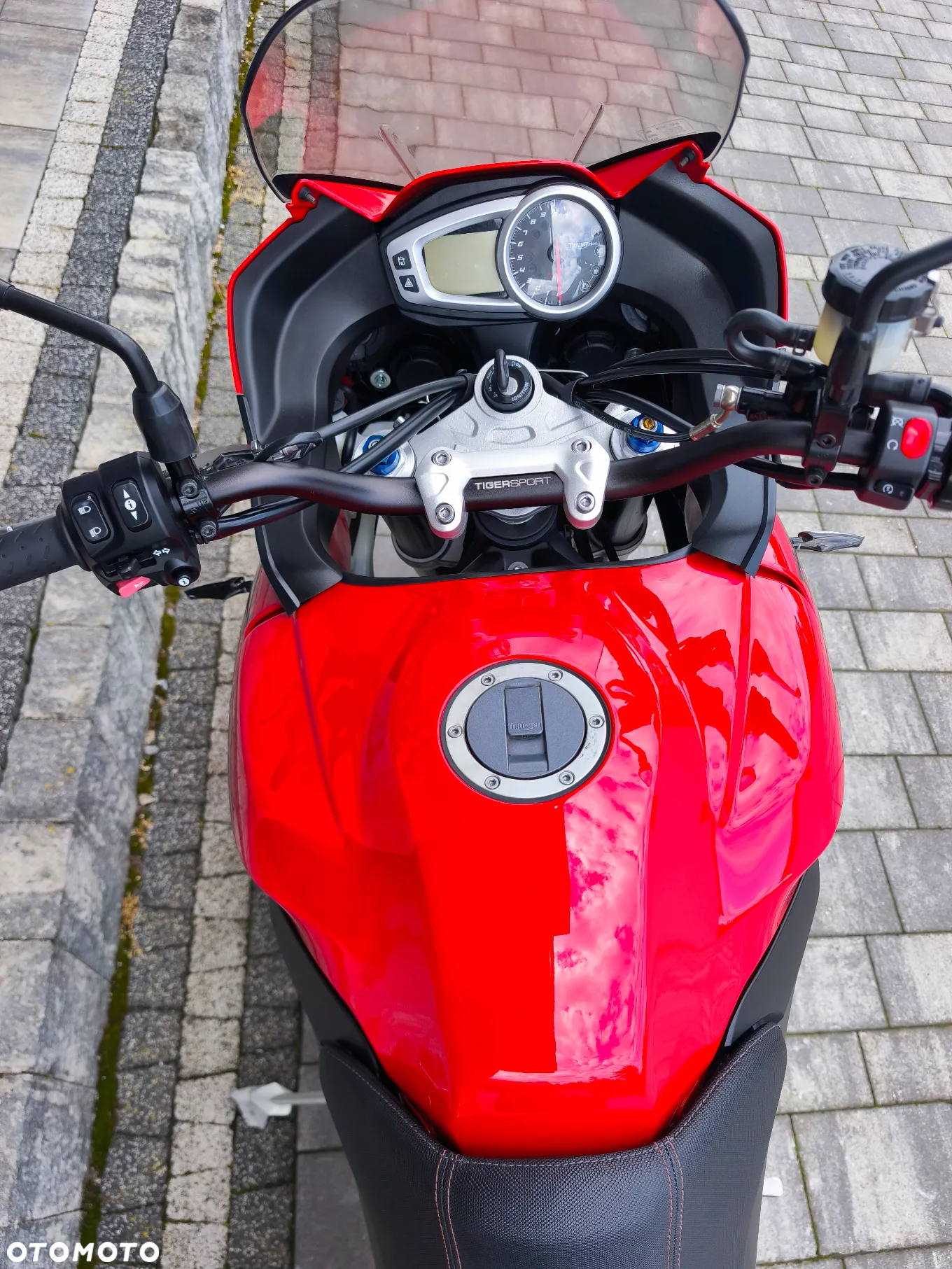 Triumph Tiger - 14