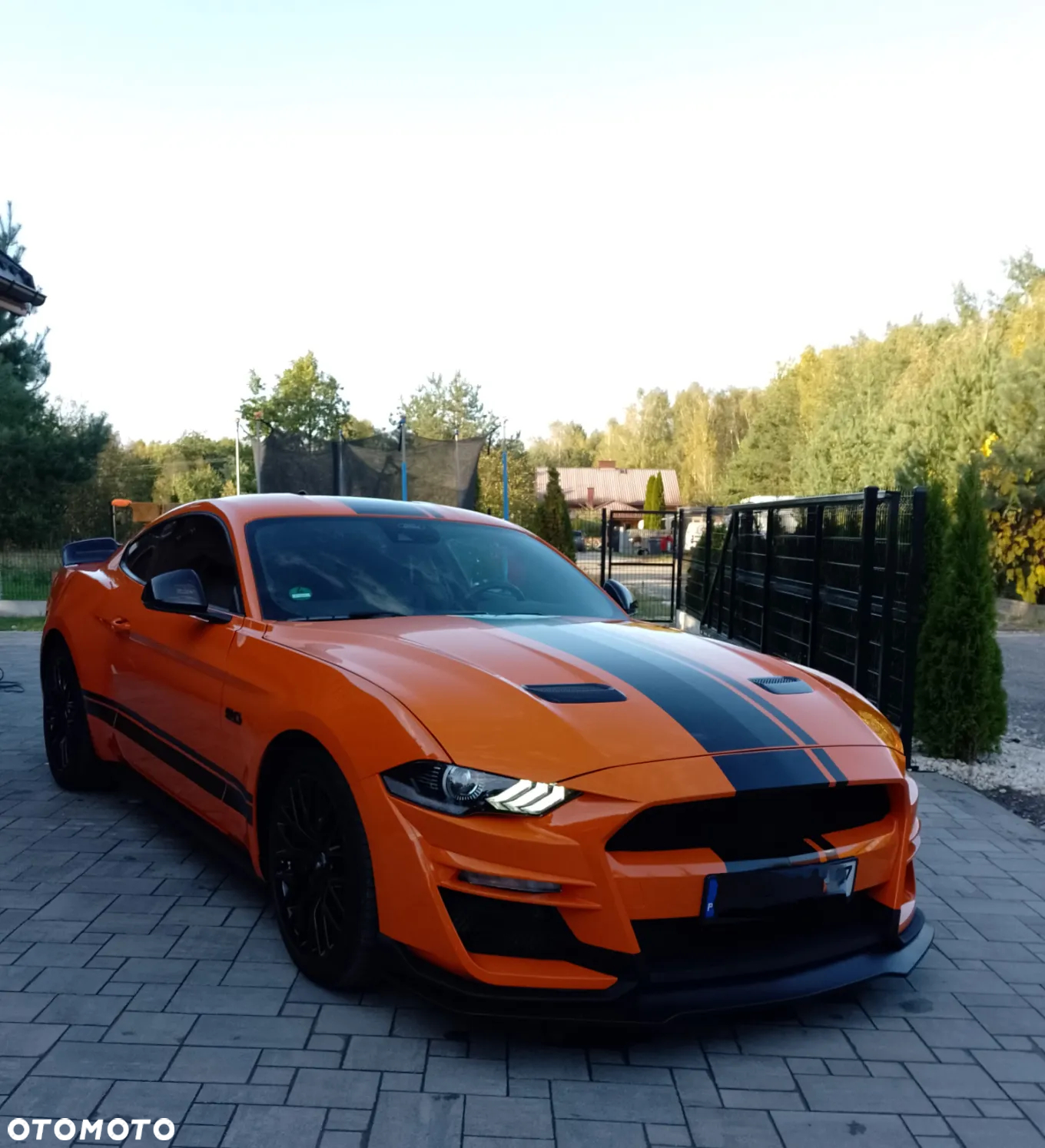 Ford Mustang - 4