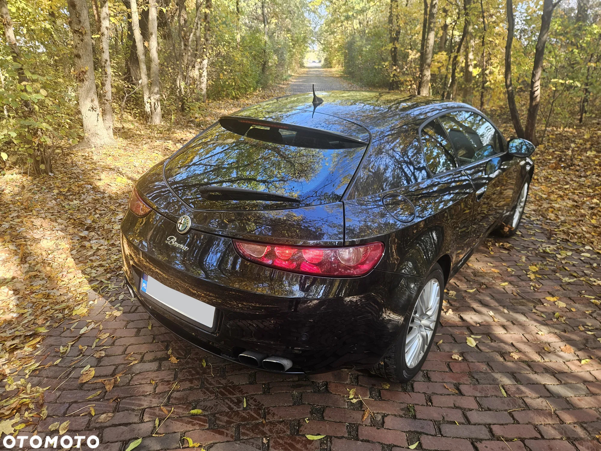 Alfa Romeo Brera 2.0JTDM - 9