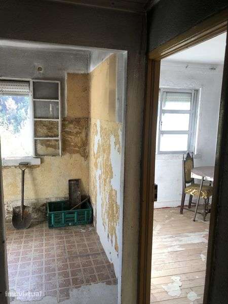 Casa isolada com um grande pomar jardim - Grande imagem: 5/12