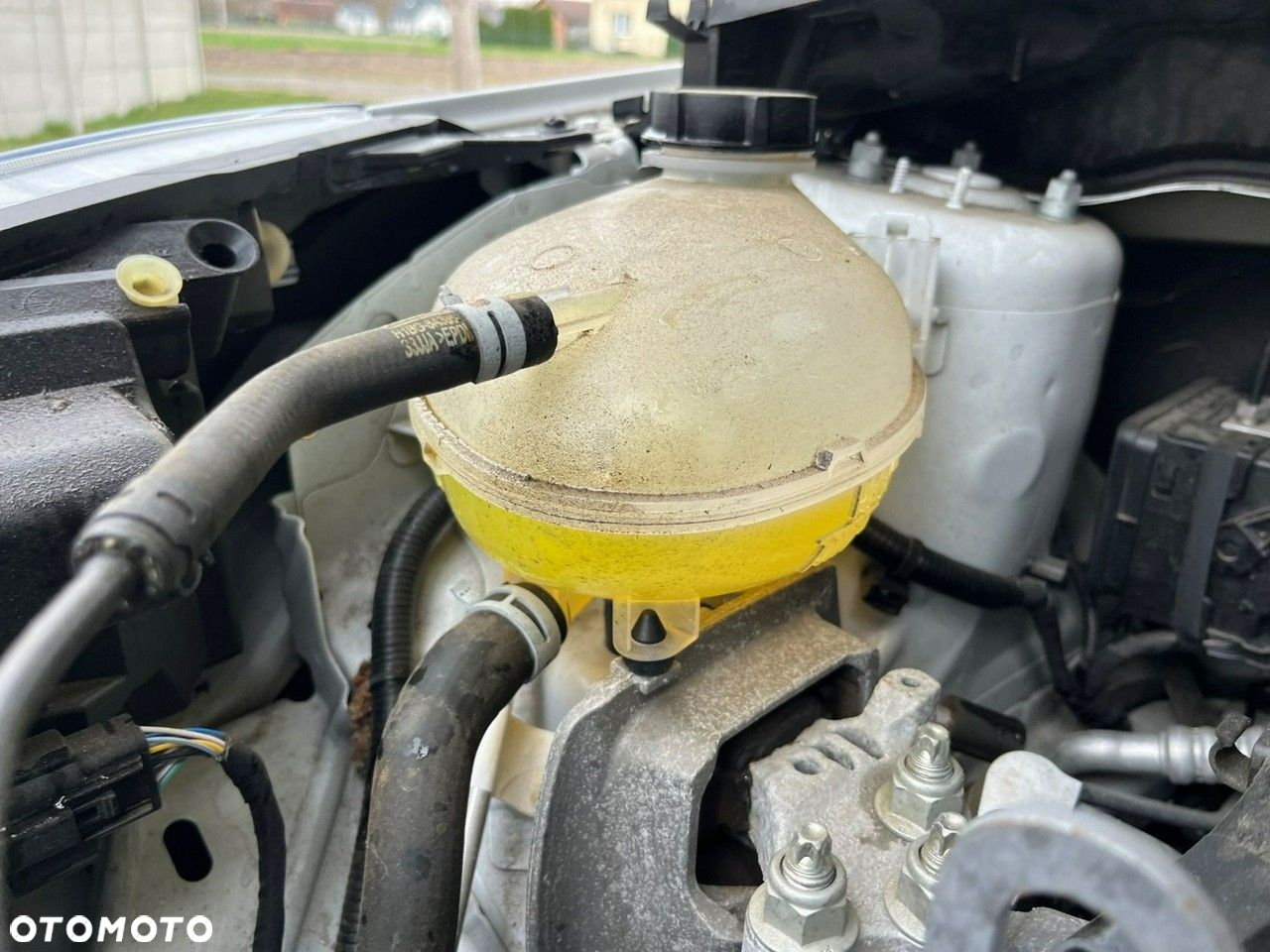 Ford Fiesta - 14