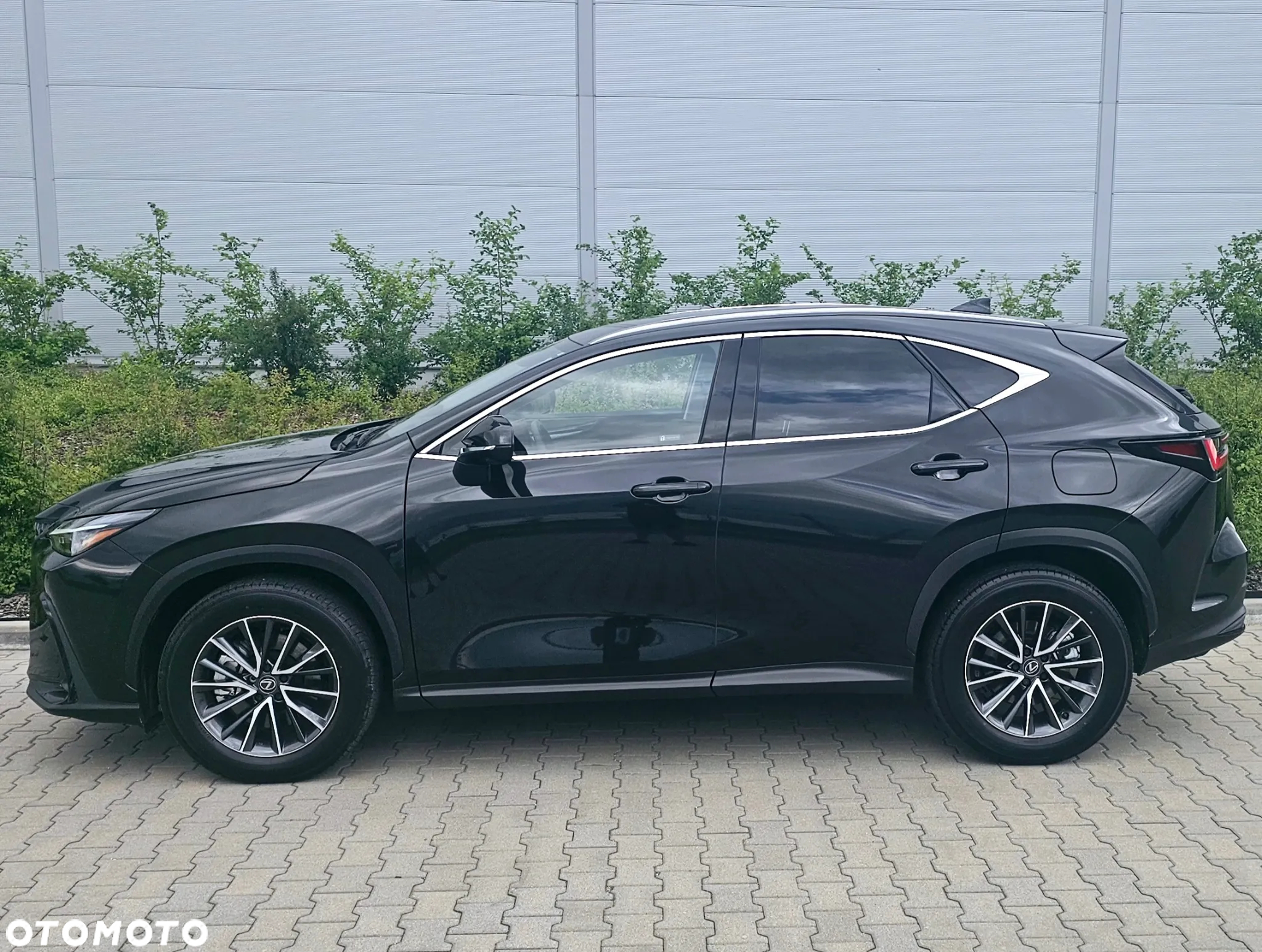 Lexus NX 450h+ Overtrail AWD - 3