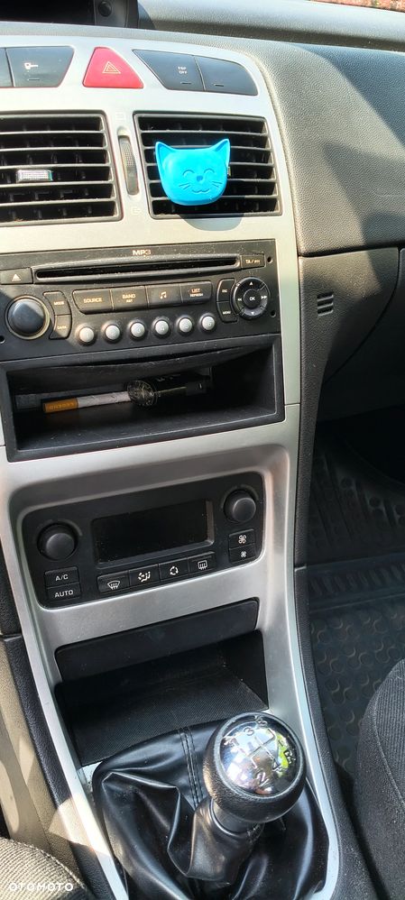 Peugeot 307 1.6 Oxygo - 20
