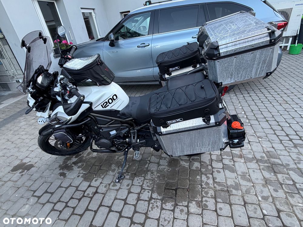 Triumph Tiger - 4