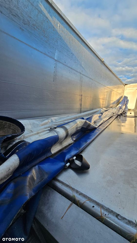 Benalu 50M - 27
