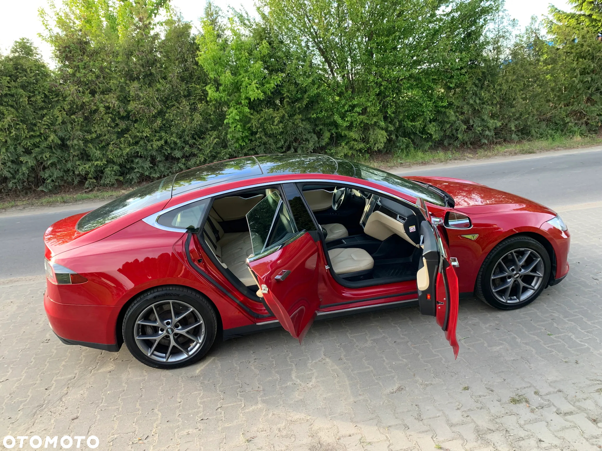 Tesla Model S Performance - 19