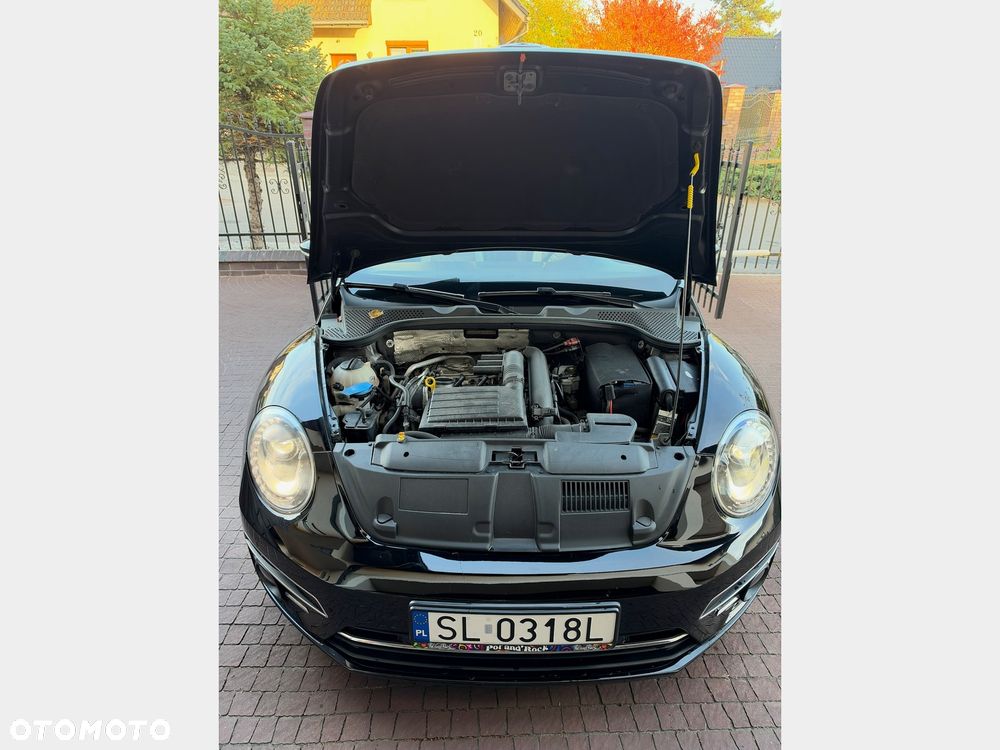 Volkswagen Beetle - 34