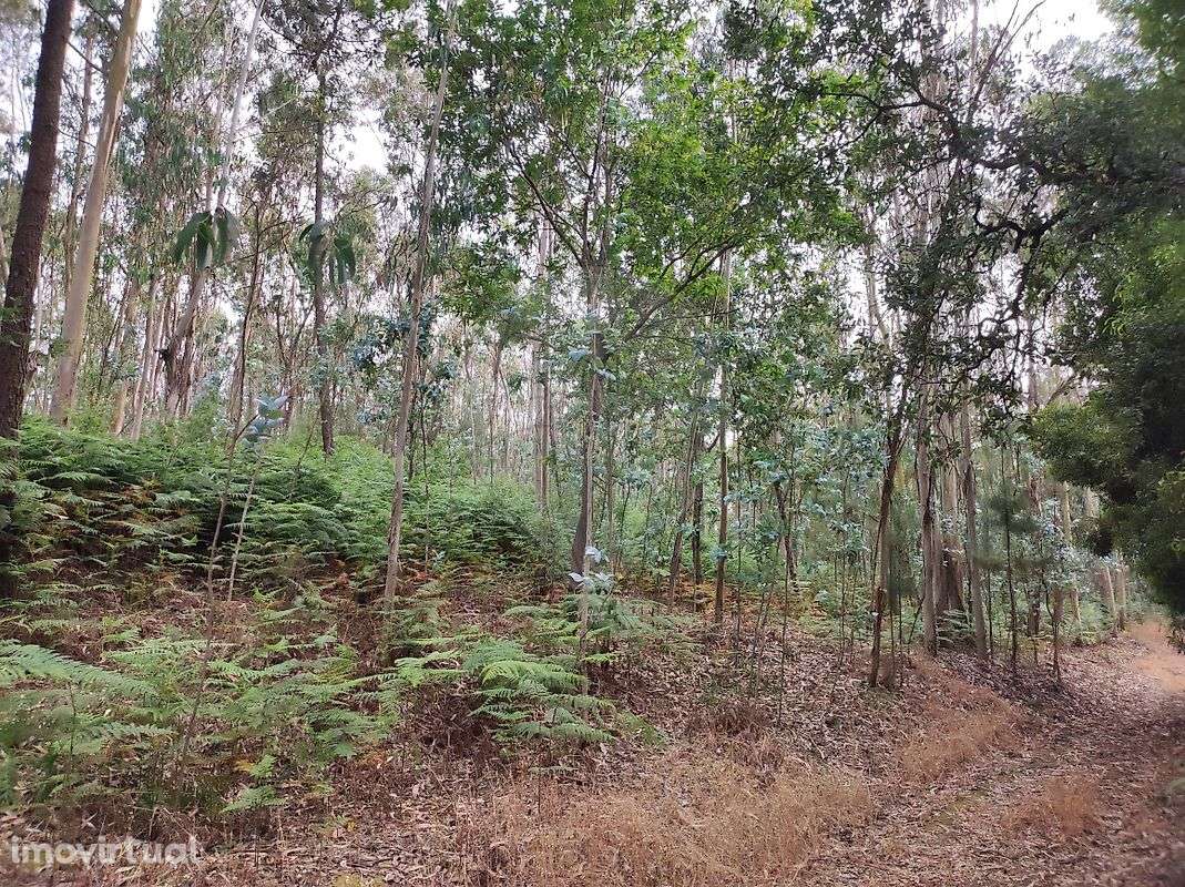 Terreno  para venda - Grande imagem: 3/13