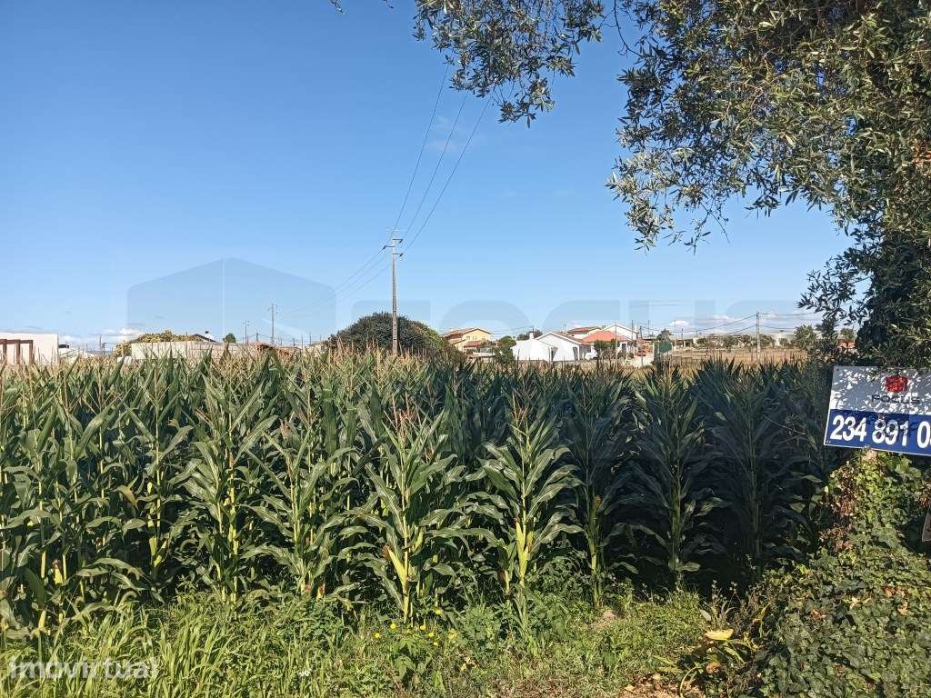 Terreno com 2 frentes, urbanizável - Cacia / Aveiro - Grande imagem: 5/18
