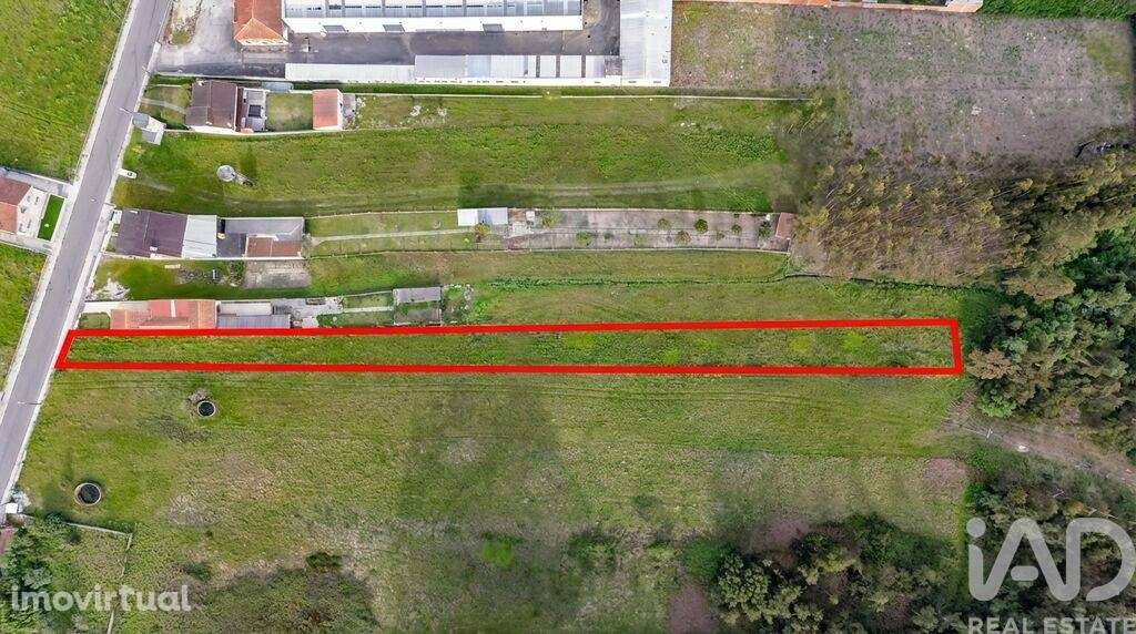 Terreno para construção em Carapelhos - Grande imagem: 5/5