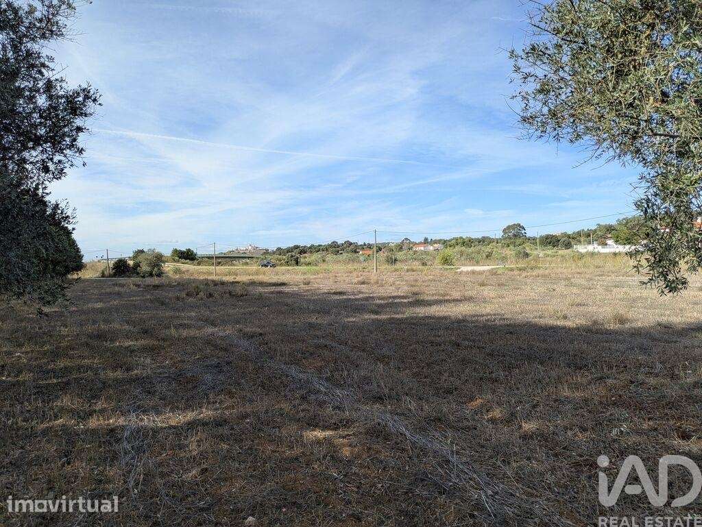 Terreno Agrícola em Estremoz - Grande imagem: 5/15