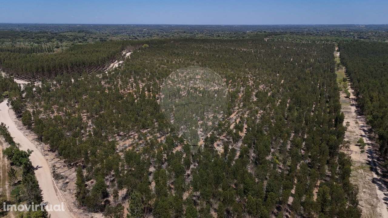 Moradia T4 para venda - Grande imagem: 4/14