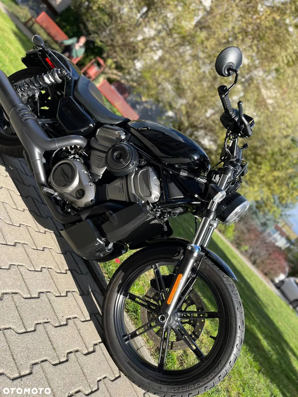 Harley-Davidson Sportster Nightster 975 - 39