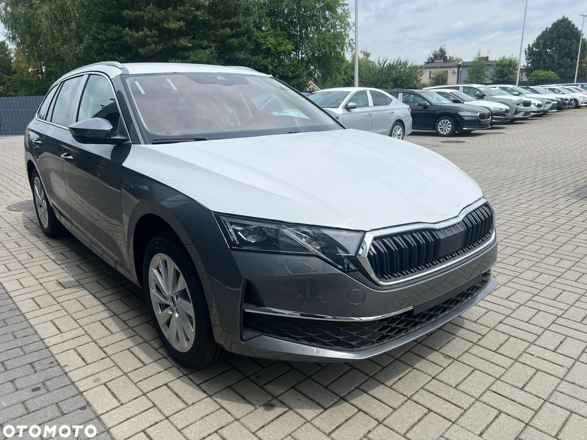 Skoda Octavia - 4