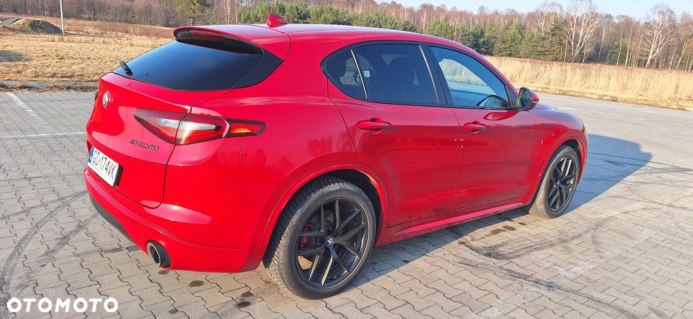 Alfa Romeo Stelvio 2.0 Turbo Veloce Q4 - 6