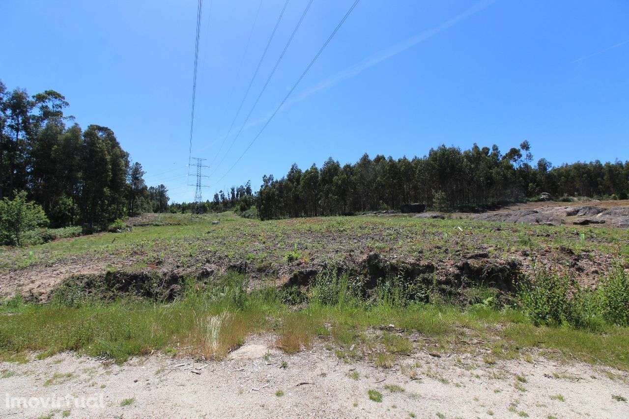 Terreno a 10 Kms do Centro – 2,3 Hectares - Grande imagem: 5/18