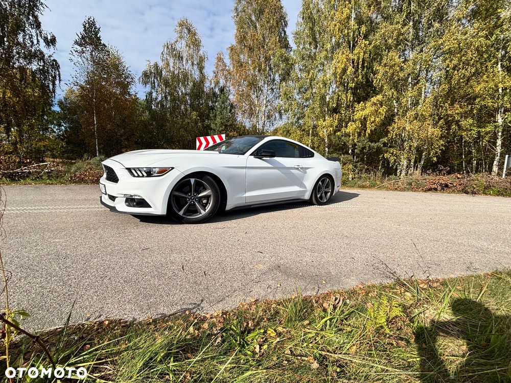 Ford Mustang 3.7 V6 - 10