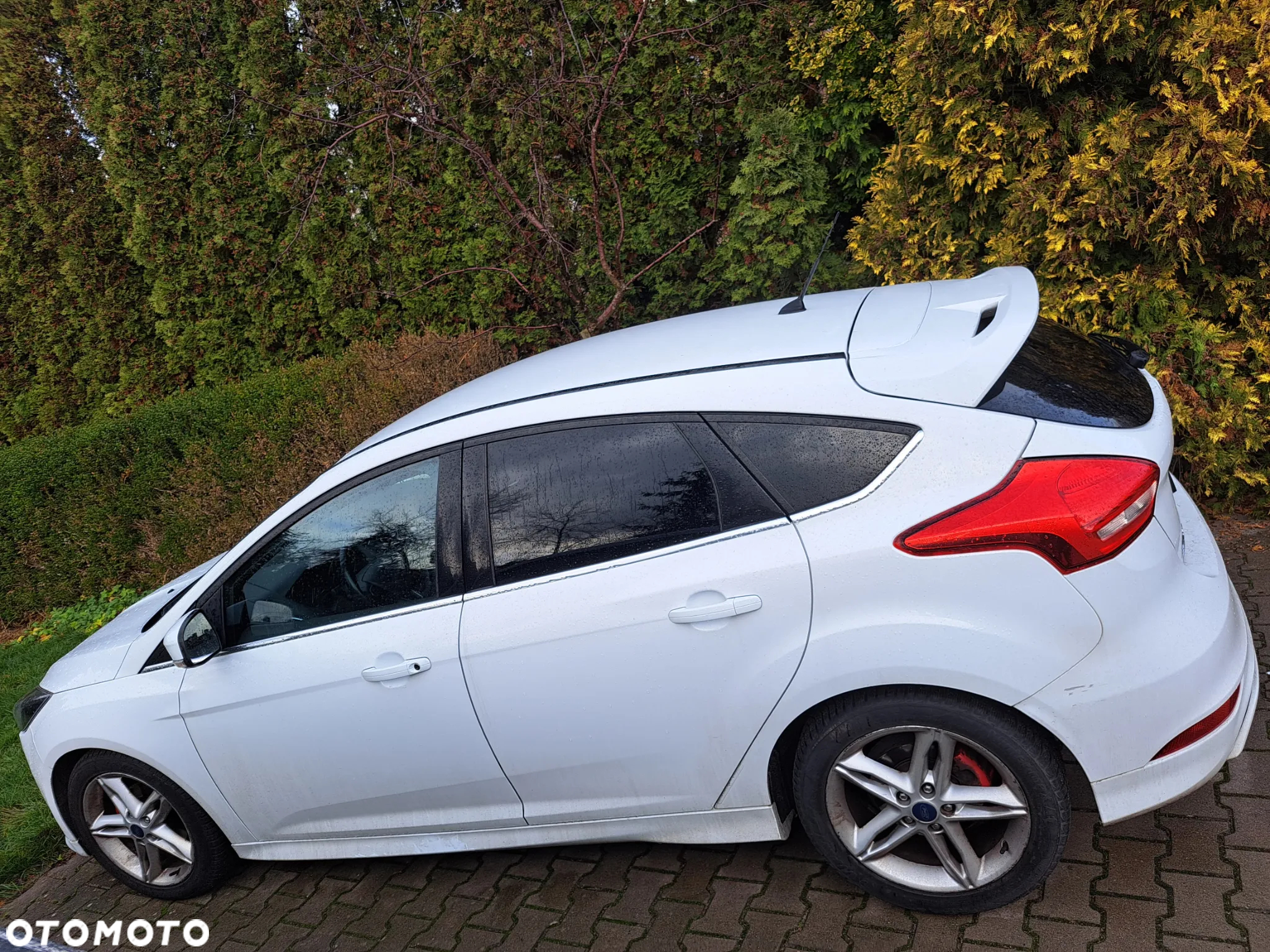Ford Focus 1.0 EcoBoost Titanium ASS - 3