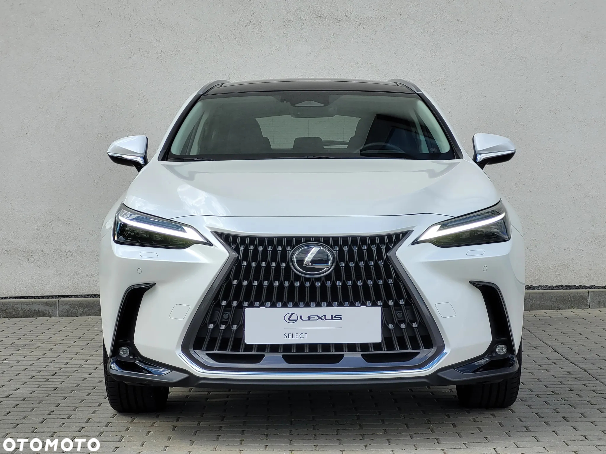 Lexus NX 350h Prestige AWD - 7