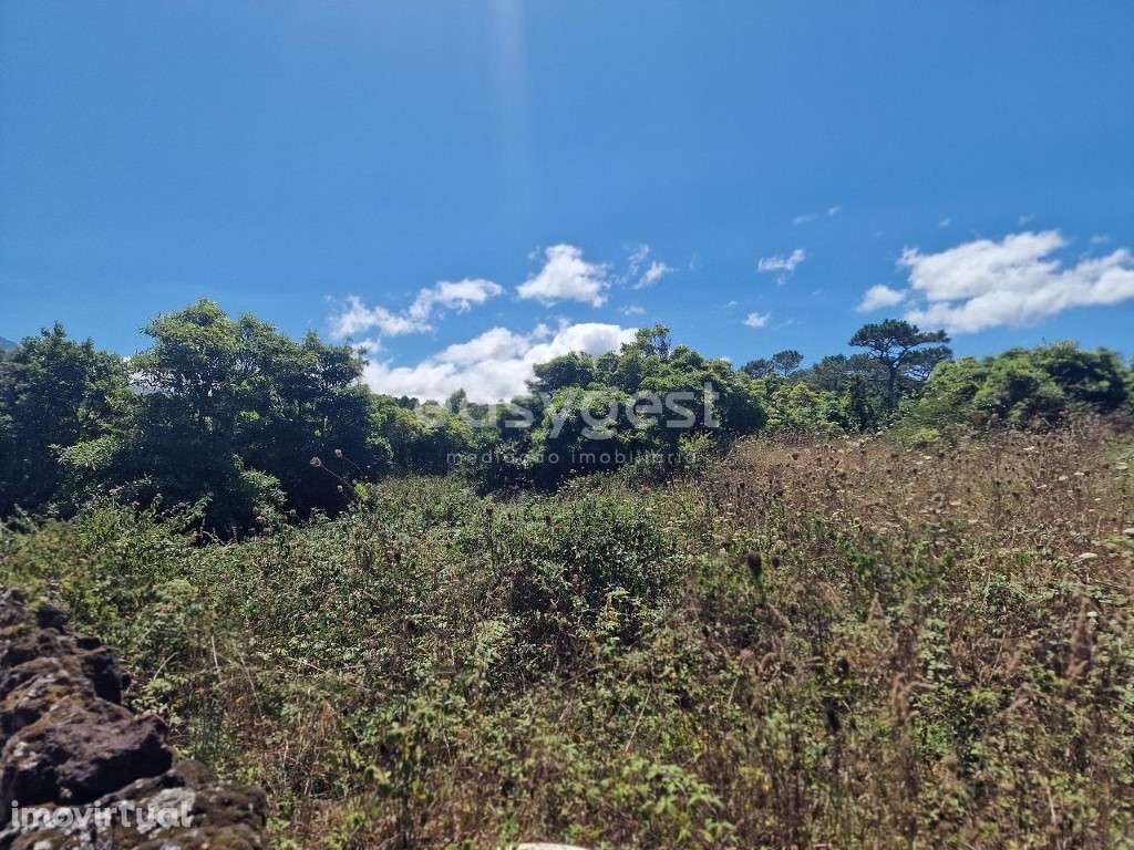 Terreno com 31944m2 no Cabeço Chão na Madalena Ilha do Pico - Grande imagem: 3/15