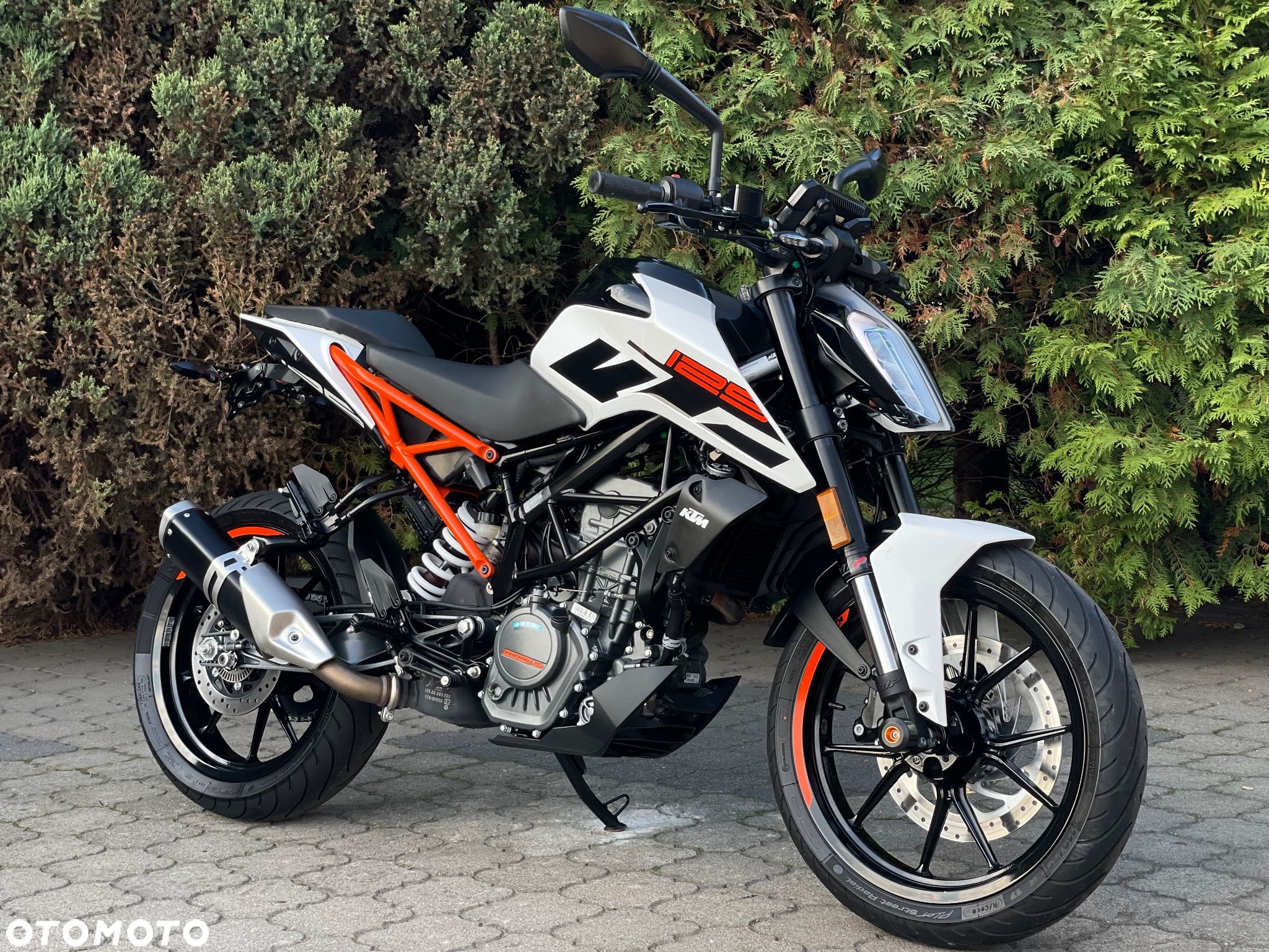KTM Duke - 1