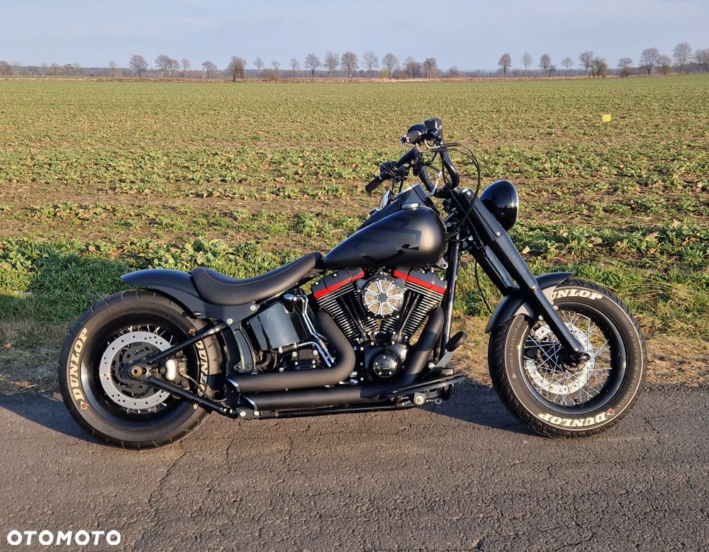 Harley-Davidson Softail Heritage Classic - 13