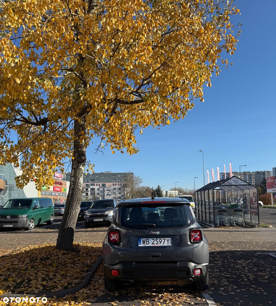 Jeep Renegade 1.6 MultiJet Limited FWD S&S - 3