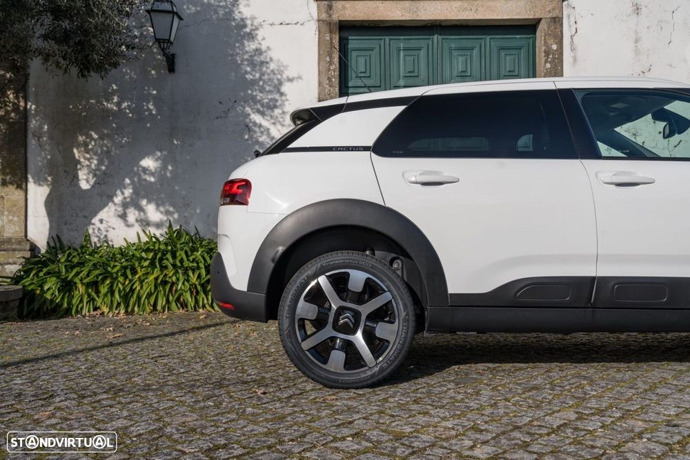 Citroën C4 Cactus 1.2 PureTech Shine - 21