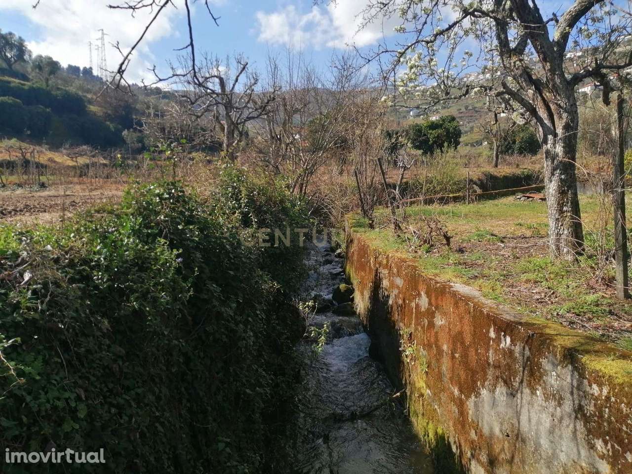 Quinta para Recuperar em Cambres, Lamego com Vista Campestre - Grande imagem: 5/18