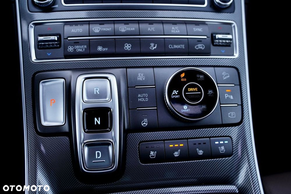 Hyundai Santa Fe - 39